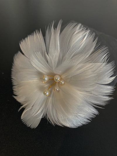 Feather Hairpin